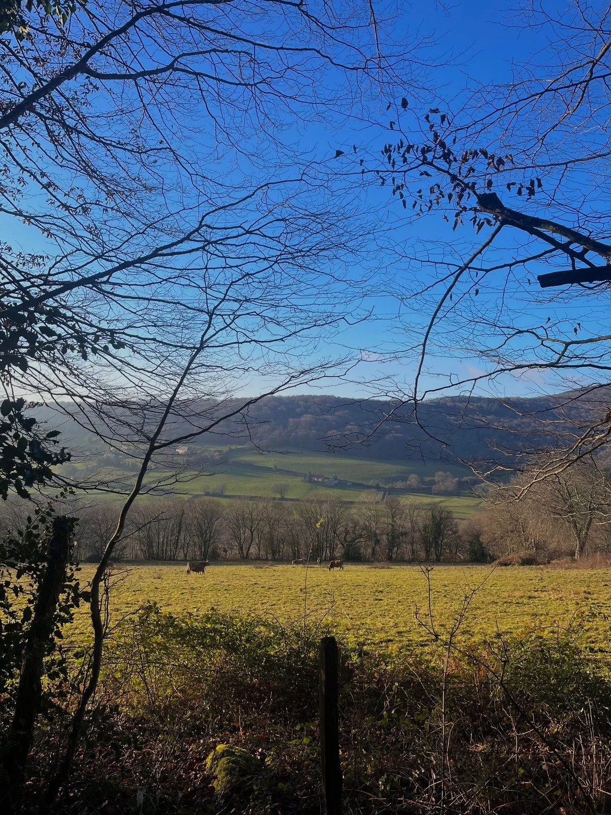 Paysage de campagne de Bourgogne